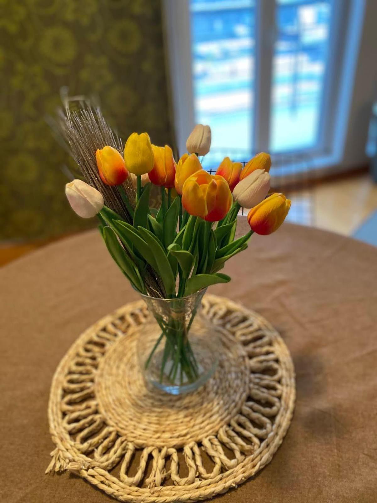 Ferienwohnung Garmani Vrnjačka Banja Zimmer foto