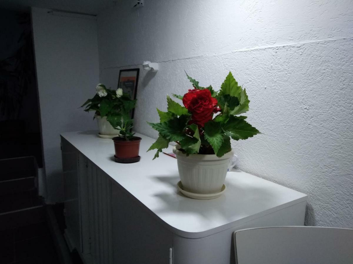 Ferienwohnung Garmani Vrnjačka Banja Exterior foto