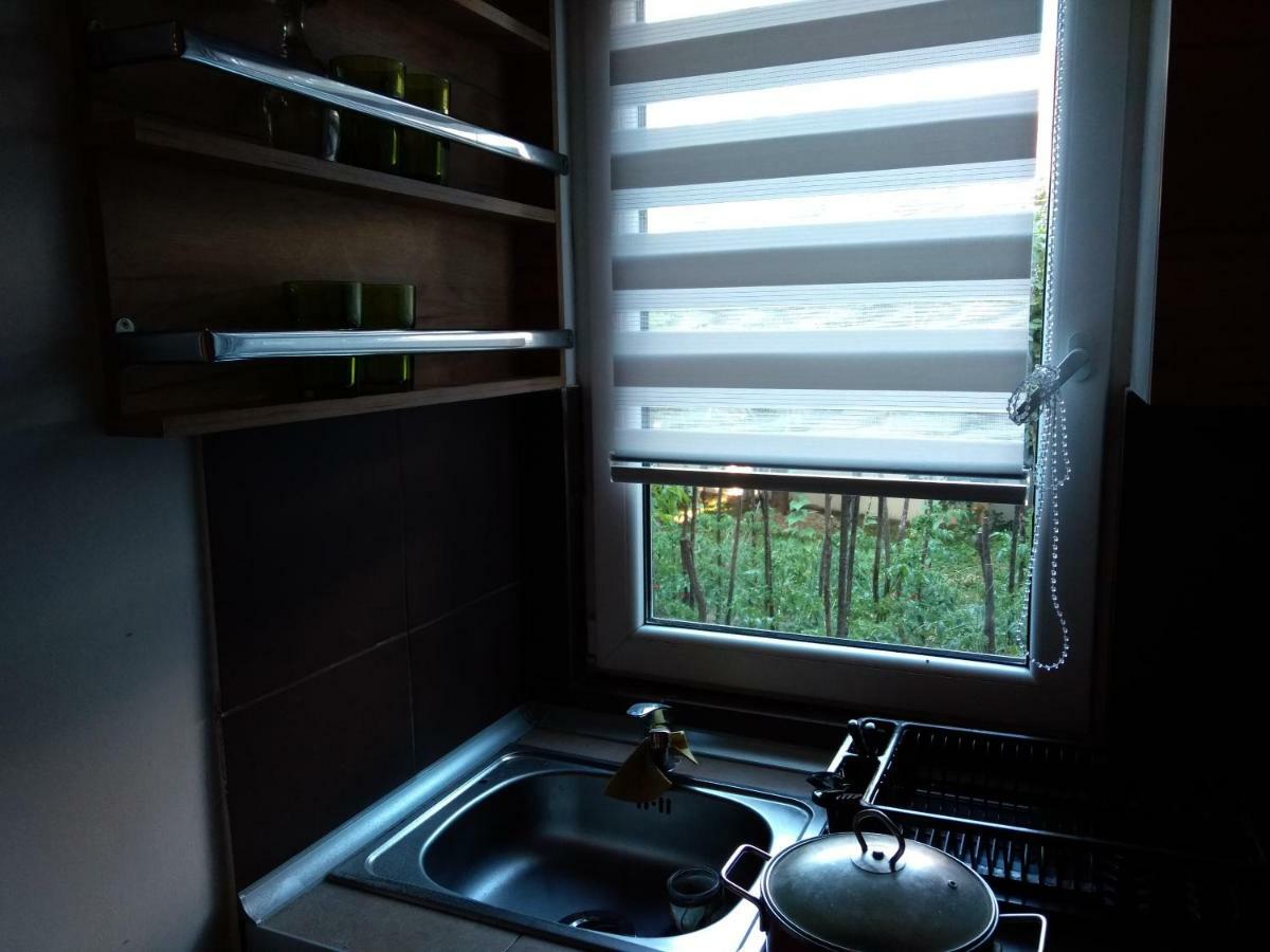 Ferienwohnung Garmani Vrnjačka Banja Exterior foto